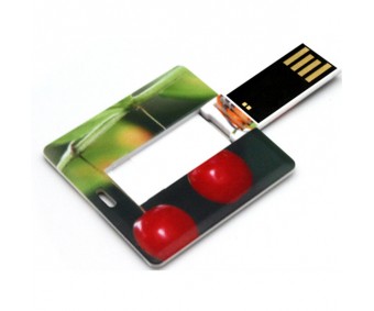 Coro flash drive ESU-U21M