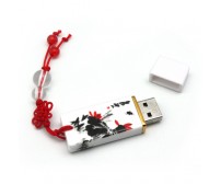 Garanhuns custome usb flash memory ESU-CE01