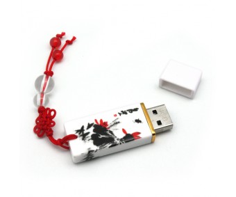 Garanhuns custome usb flash memory ESU-CE01