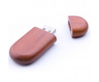 Punta Arenas flash memory drive ESU-W03